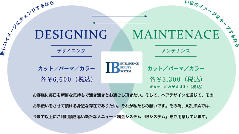 IB System